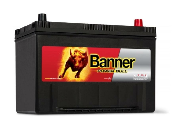 Banner Power Bull P95 04